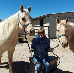 Meet your Posher, Maggie